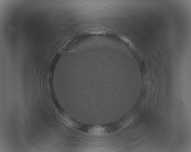 X0000058760217200510031027