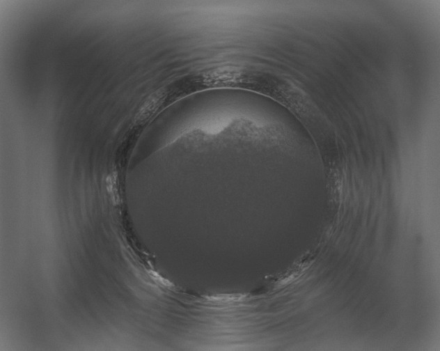 X0000058760224200510031027