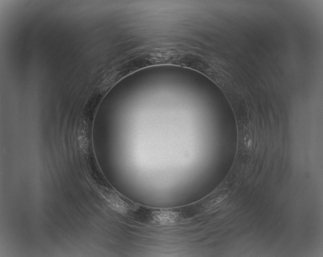 X0000058760226200510031027