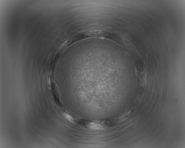X0000058760232200510031027