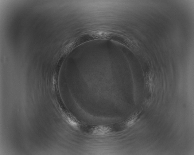 X0000058760235200510031027