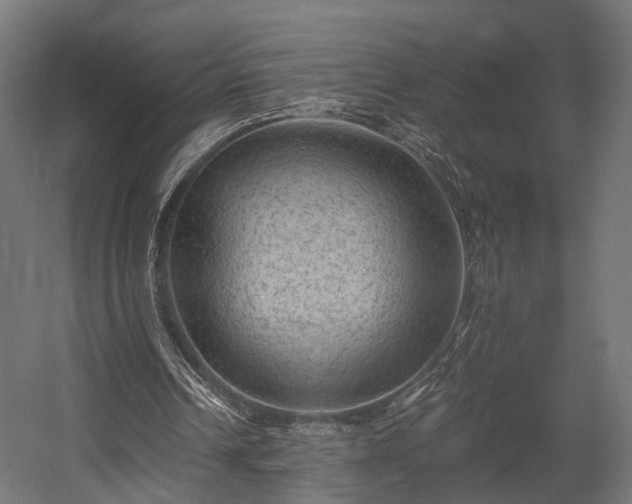 X0000058760242200510031026
