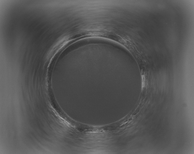 X0000058760243200510031026