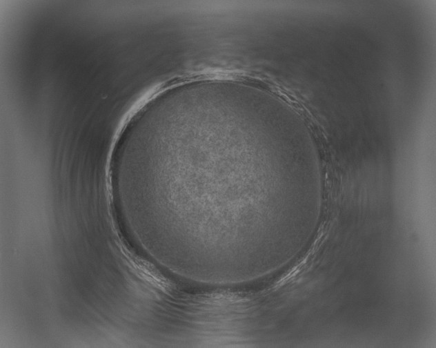 X0000058760246200510031026
