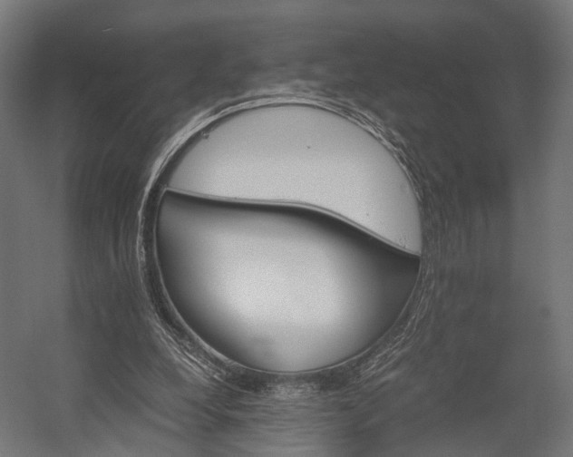X0000058760248200510031026