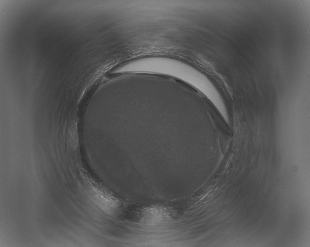 X0000058760250200510031026