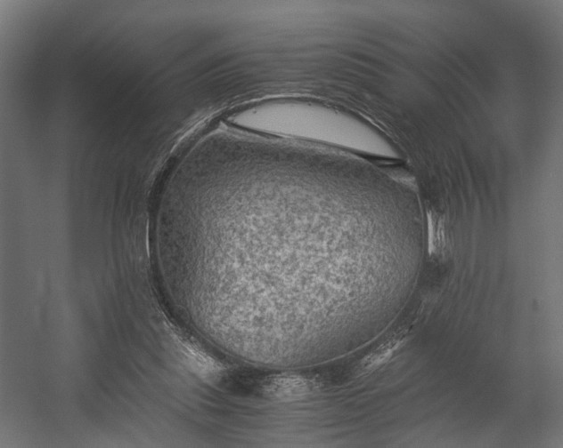 X0000058760253200510031026