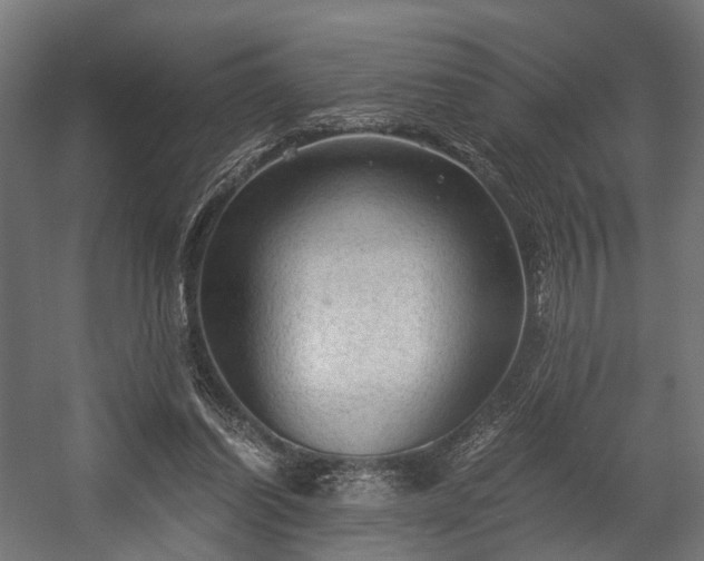 X0000058760254200510031026