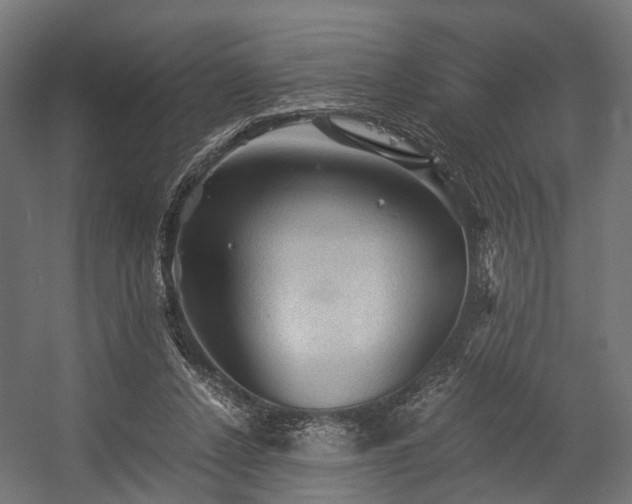X0000058760256200510031026