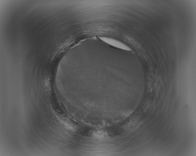 X0000058760258200510031026