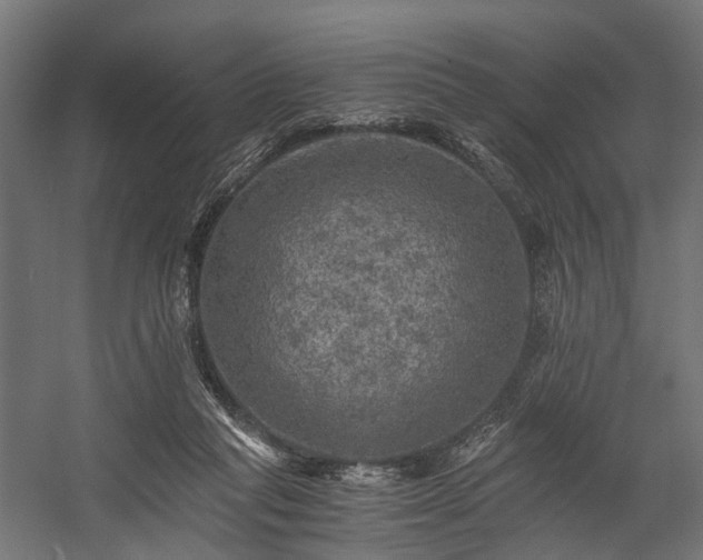 X0000058760261200510031027