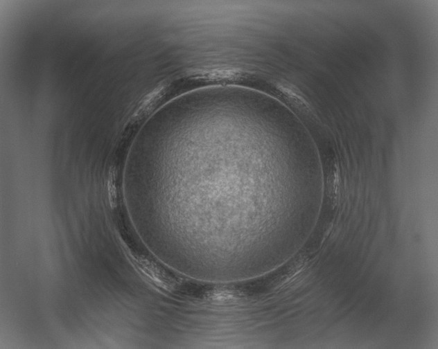 X0000058760264200510031027