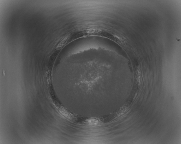 X0000058760272200510031027