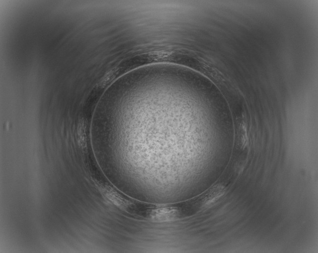 X0000058760274200510031027