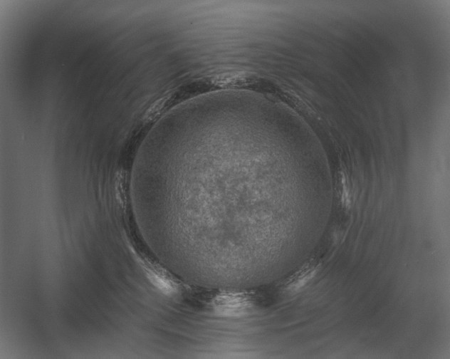 X0000058760280200510031027