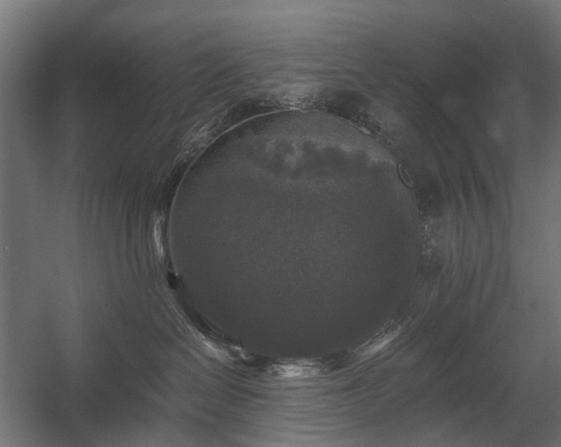 X0000058760286200510031027