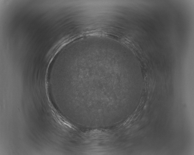 X0000058760290200510031026