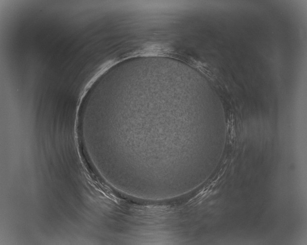 X0000058760292200510031026