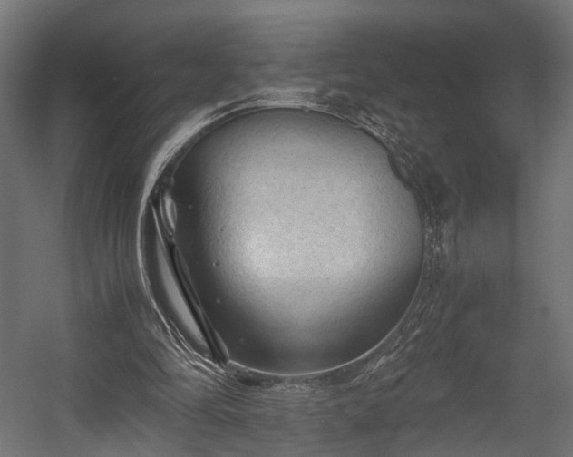 X0000058760294200510031026