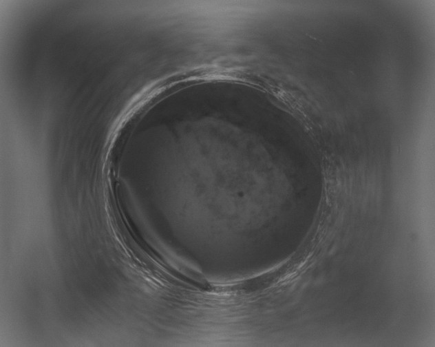 X0000058760295200510031026