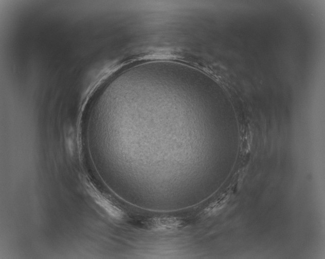 X0000058760296200510031026