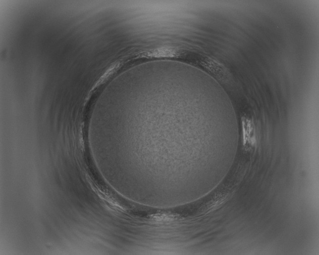 X0000058760300200510031026