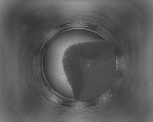 X0000058760301200510031026
