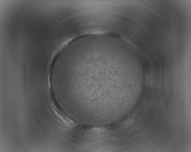 X0000058760302200510031026