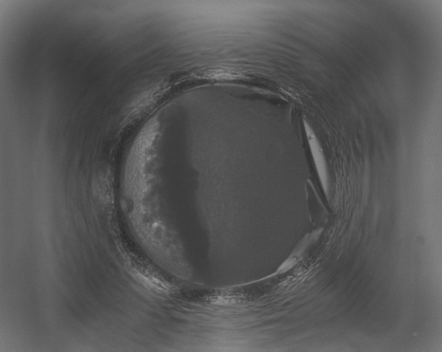 X0000058760303200510031026