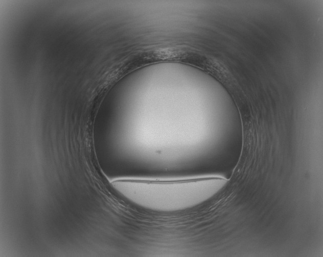 X0000058760317200510031026