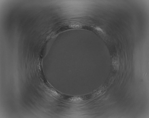 X0000058760322200510031026