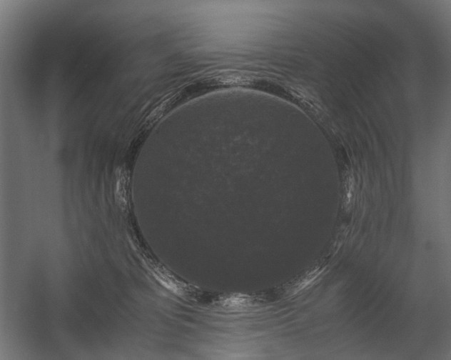 X0000058760325200510031026
