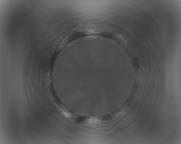 X0000058760327200510031025