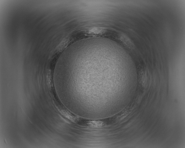 X0000058760328200510031025