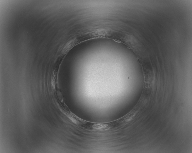 X0000058760334200510031025