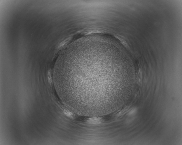 X0000058760335200510031025