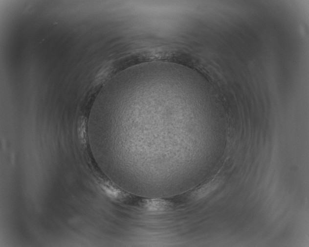 X0000058760336200510031025