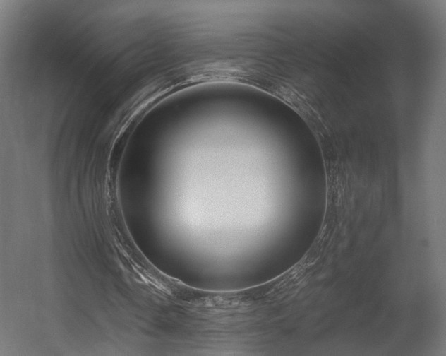 X0000058760338200510031025