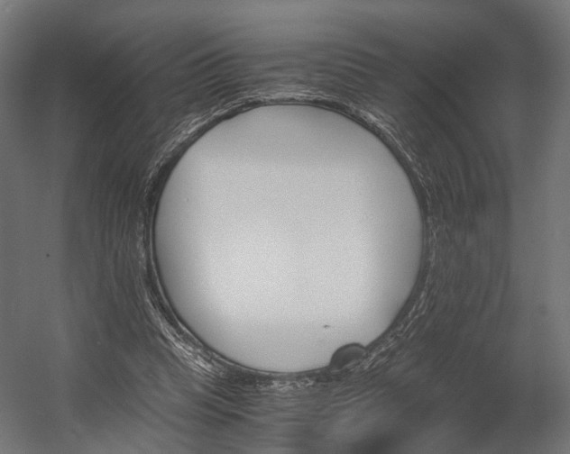 X0000058760345200510031025