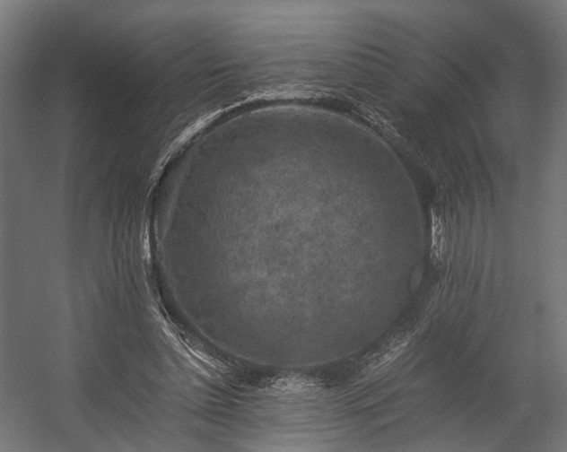 X0000058760348200510031025