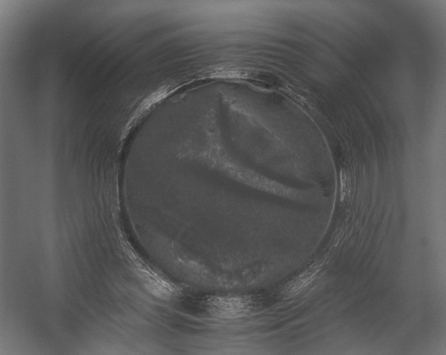 X0000058760349200510031025