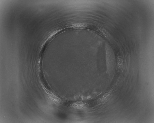 X0000058760351200510031025