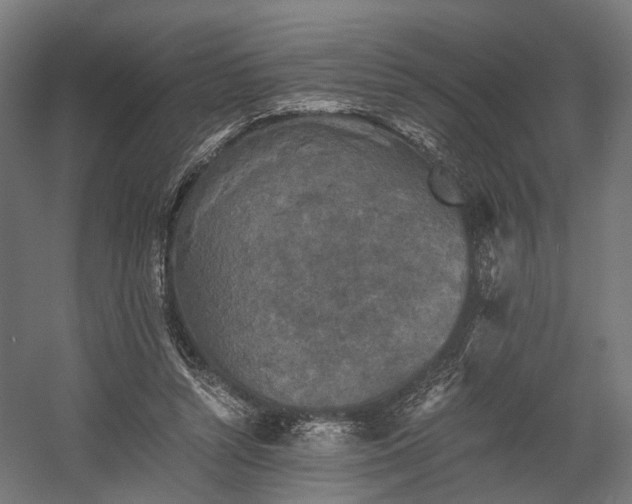 X0000058760352200510031025