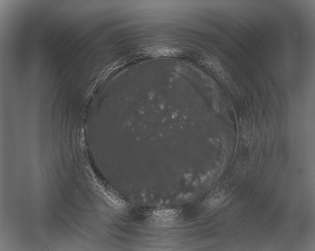 X0000058760357200510031025