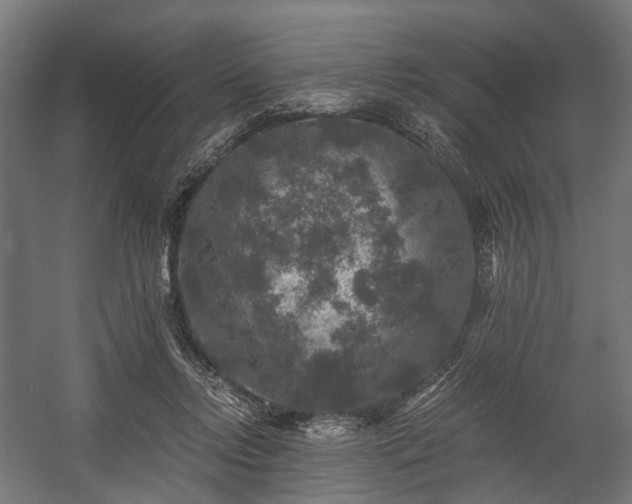 X0000058760358200510031025