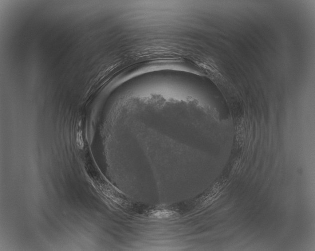 X0000058760360200510031025