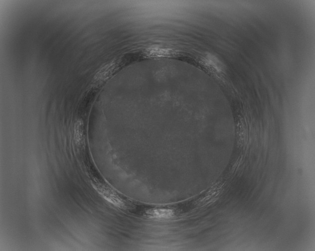 X0000058760361200510031025