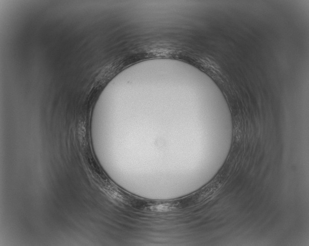 X0000058760365200510031025