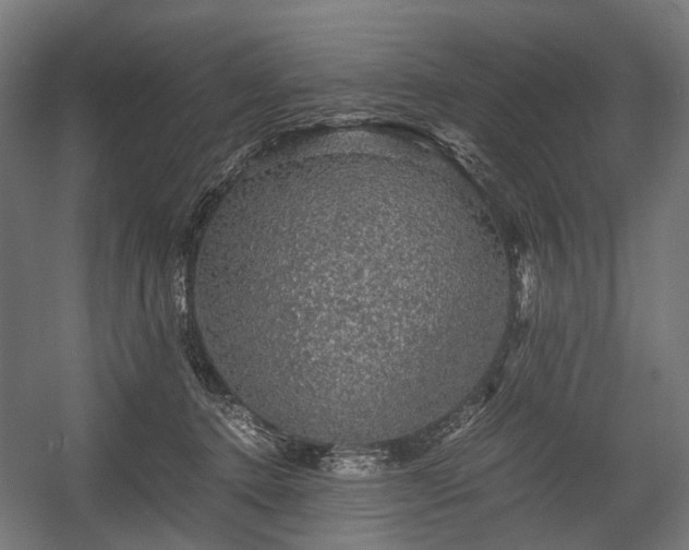 X0000058760368200510031025