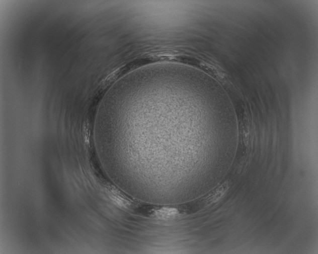 X0000058760374200510031025